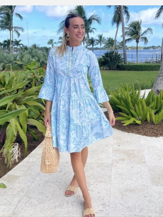 Sheridan French Dresses & Skirts - Sheridan French Caty Sky Jardin dress Medium NWT